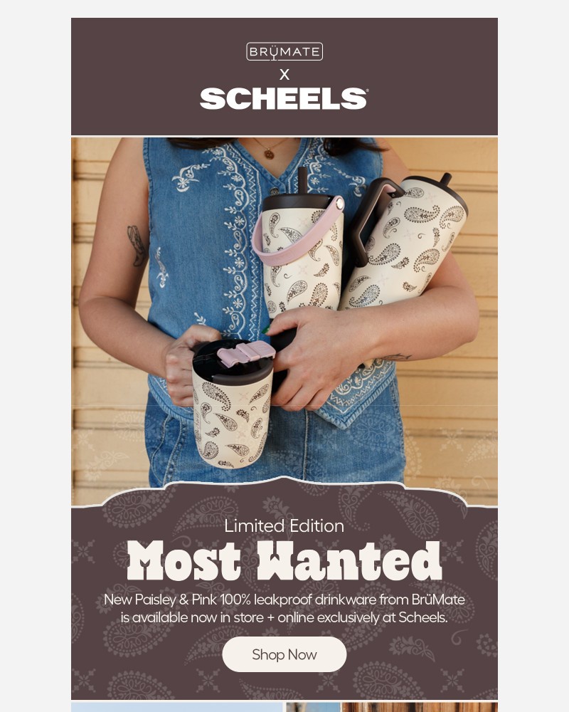 Screenshot of email with subject /media/emails/just-arrived-paisley-pink-a1e093-cropped-614d027f.jpg