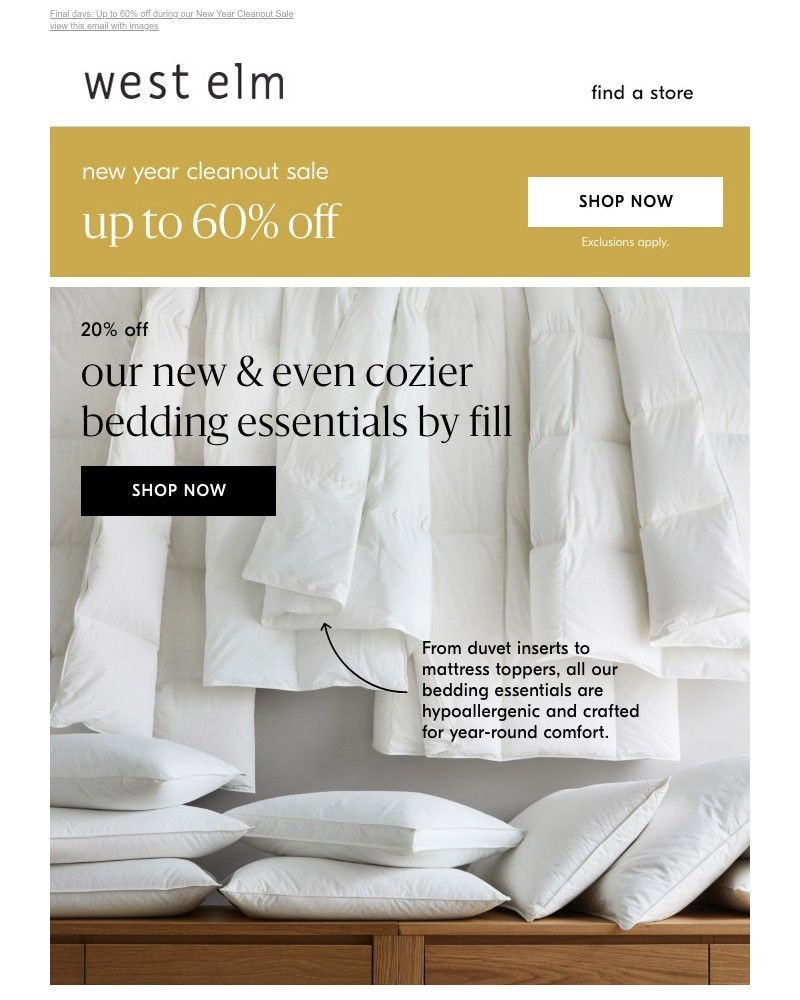 Screenshot of email with subject /media/emails/just-arrived-super-cozy-hypoallergenic-bedding-essentials-454e13-cropped-953bc6bc.jpg