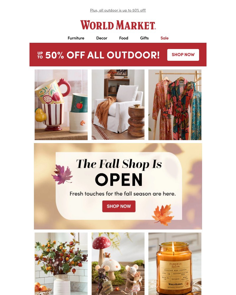 Screenshot of email with subject /media/emails/just-dropped-falls-first-look-f8425e-cropped-8422d699.jpg