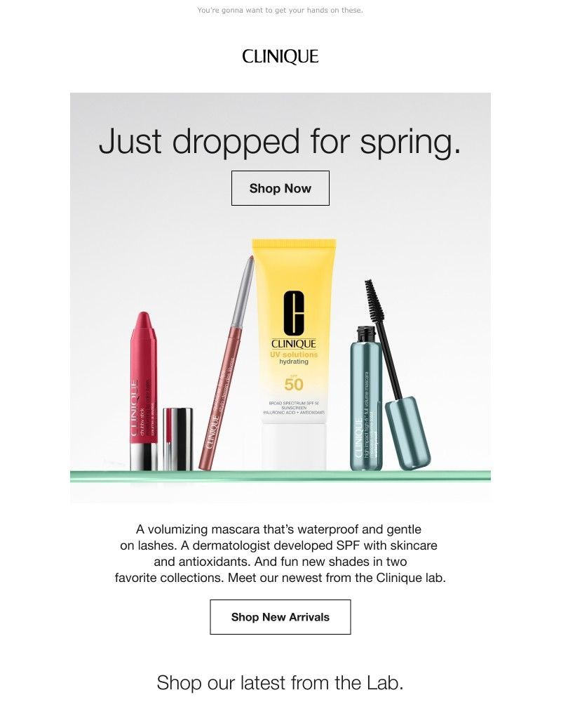 Screenshot of email with subject /media/emails/just-dropped-for-spring-512b59-cropped-202628a6.jpg