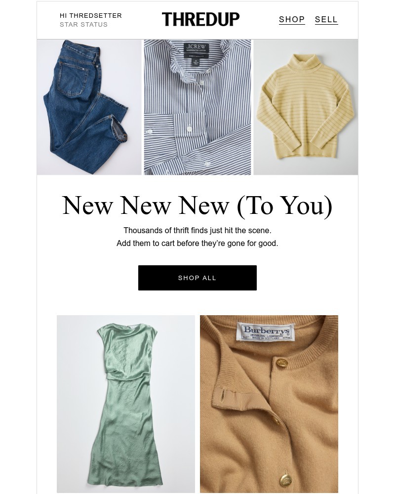 Screenshot of email with subject /media/emails/just-dropped-ready-for-your-cart-but-not-for-long-36e3d7-cropped-3d9e40fe.jpg