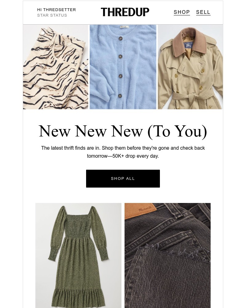Screenshot of email with subject /media/emails/just-dropped-ready-for-your-cart-but-not-for-long-5cc5ae-cropped-7a309a0d.jpg
