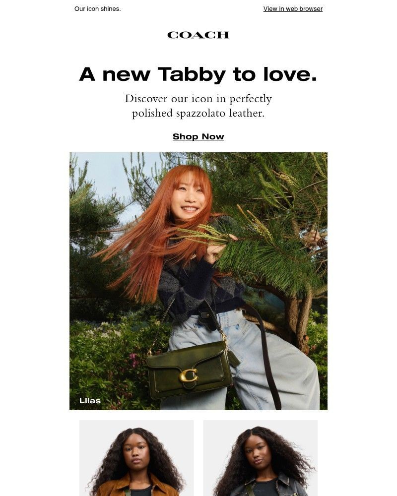 Screenshot of email with subject /media/emails/just-dropped-tabby-in-spazzolato-leather-8050c9-cropped-cbe67688.jpg