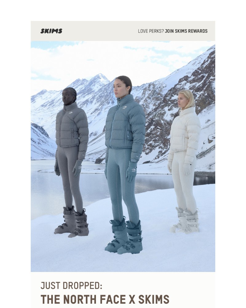 Screenshot of email with subject /media/emails/just-dropped-the-north-face-x-skims-9d04ba-cropped-48b86d77.jpg