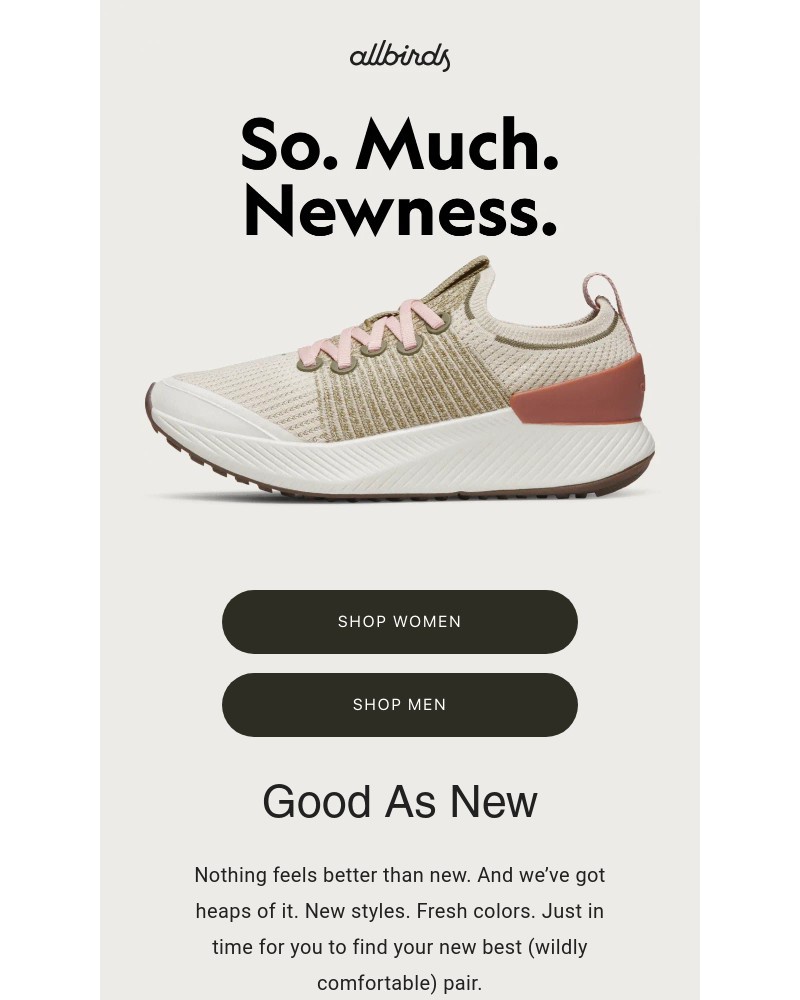 Screenshot of email sent to a Allbirds Newsletter subscriber