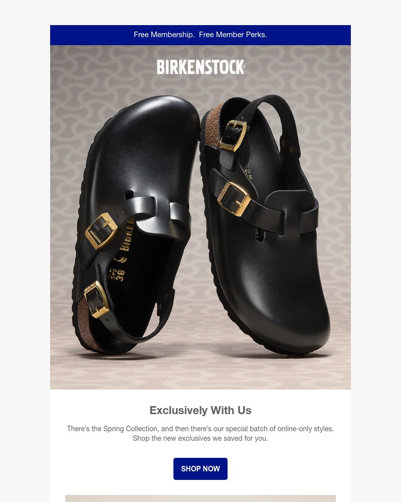 Screenshot of email with subject /media/emails/just-for-spring-a-special-batch-that-can-only-be-found-online-7a406e-cropped-6da08961.jpg