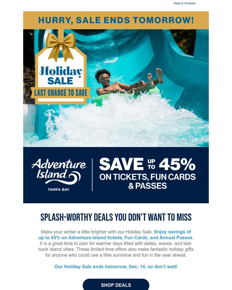 Screenshot of email with subject /media/emails/just-for-you-check-out-the-holiday-sale-save-up-to-45-872726-cropped-2f91593e.jpg