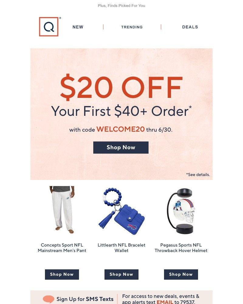 Screenshot of email with subject /media/emails/just-for-you-take-20-off-your-first-purchase-56cbad-cropped-abdc1e3d.jpg