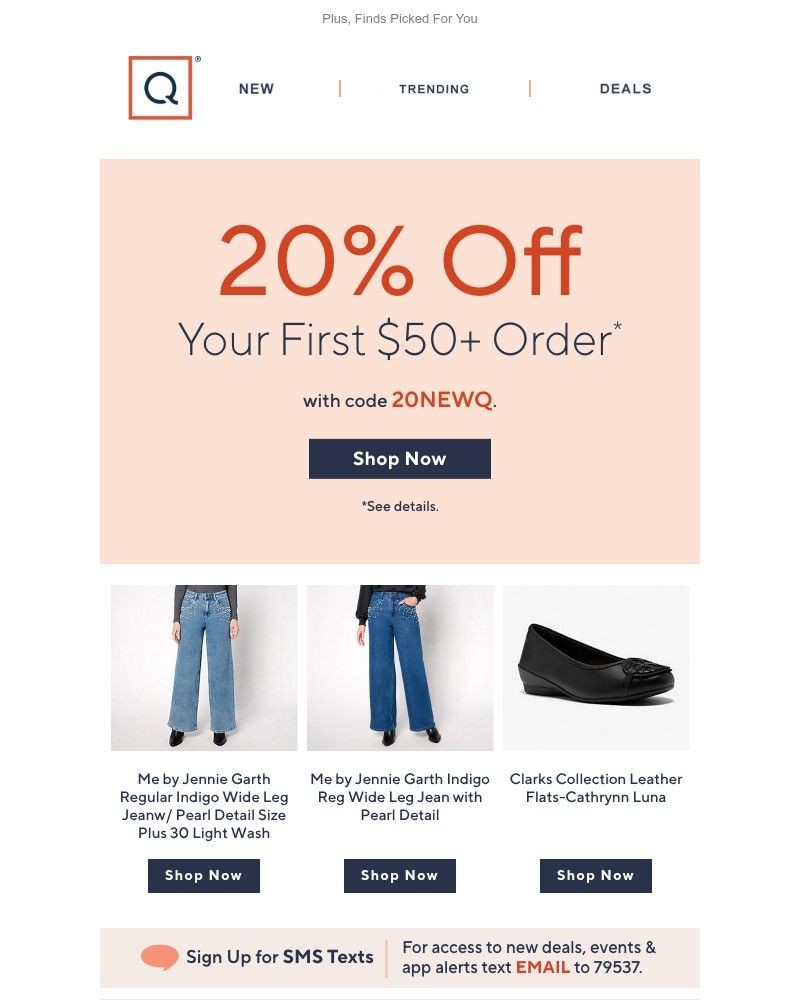 Screenshot of email with subject /media/emails/just-for-you-take-20-off-your-first-purchase-e59e8b-cropped-c2f8b27c.jpg