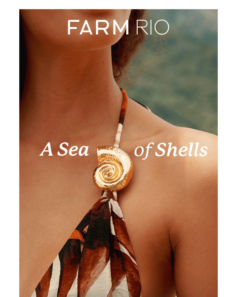 Screenshot of email with subject /media/emails/just-in-a-sea-of-shells-992bb0-cropped-5046a11e.jpg