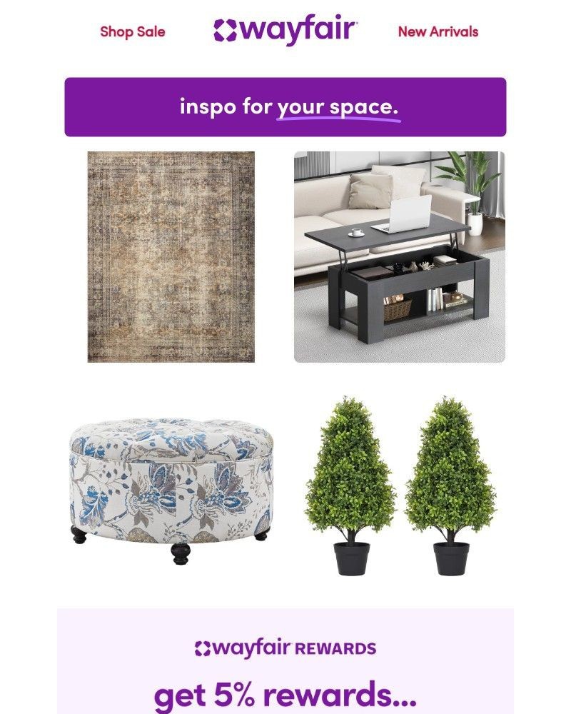 Screenshot of email with subject /media/emails/just-in-area-rugs-741d7e-cropped-7822b56b.jpg