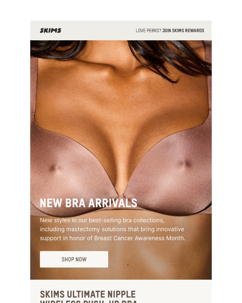 Screenshot of email with subject /media/emails/just-in-at-skims-190c9a-cropped-09fbd6c3.jpg