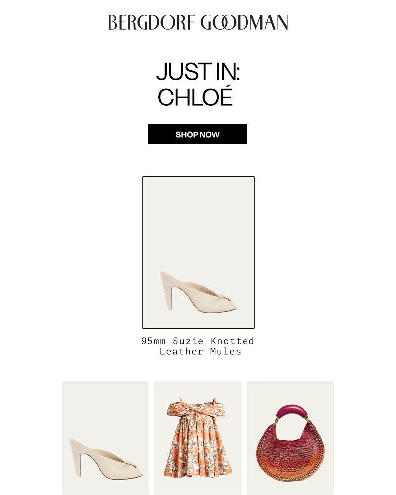 Screenshot of email with subject /media/emails/just-in-chloe-464807-cropped-6c22c3c6.jpg