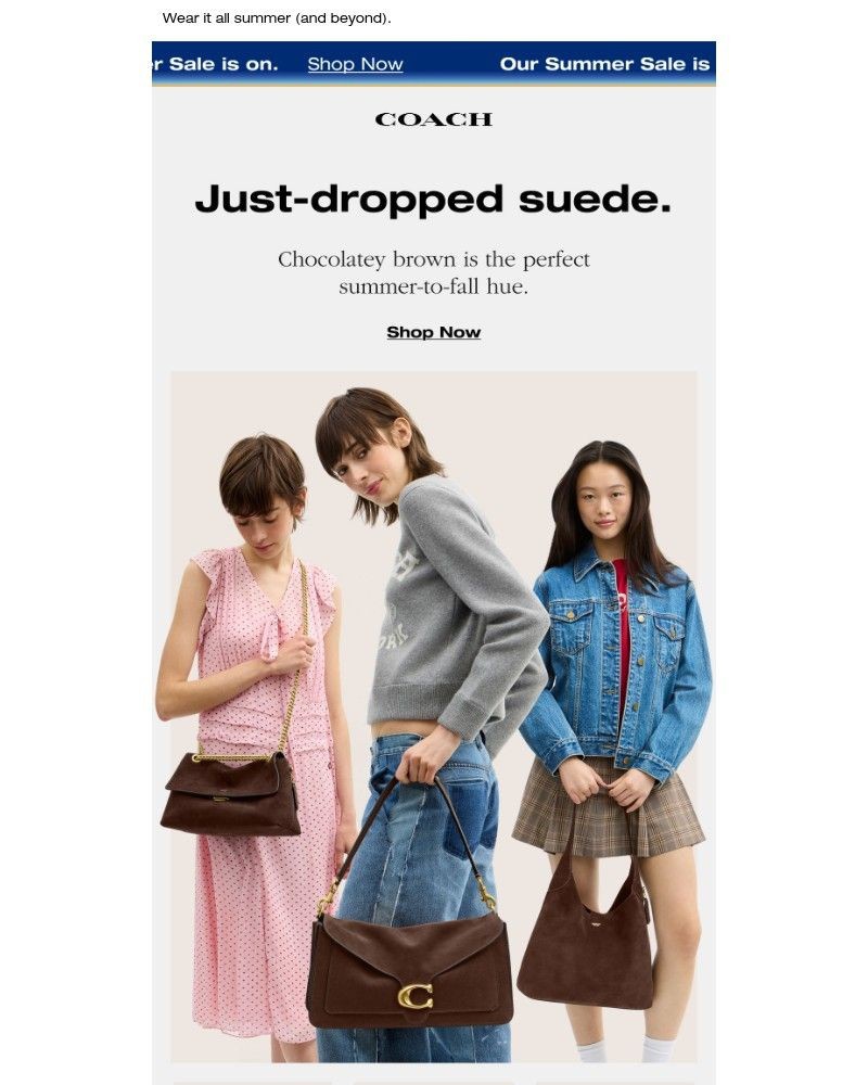 Screenshot of email with subject /media/emails/just-in-chocolatey-brown-suede-5785c9-cropped-d4943404.jpg