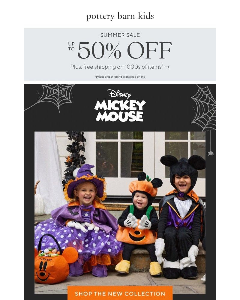 Screenshot of email sent to a Pottery Barn Newsletter subscriber