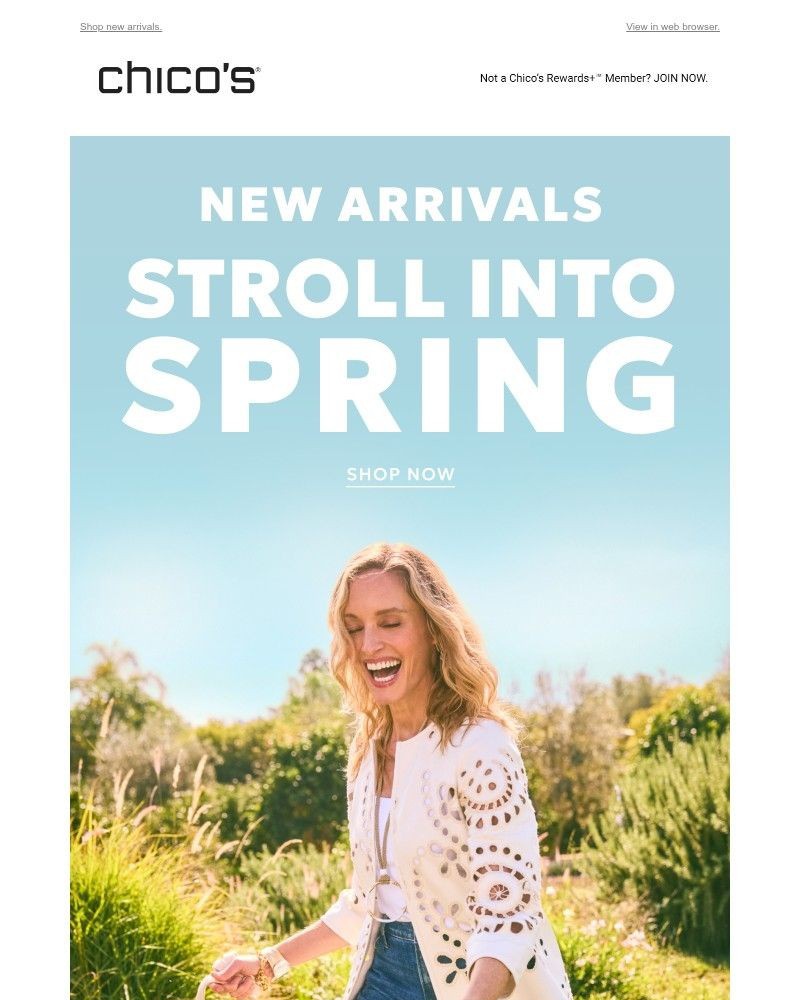 Screenshot of email with subject /media/emails/just-in-for-spring-2db415-cropped-d8088994.jpg