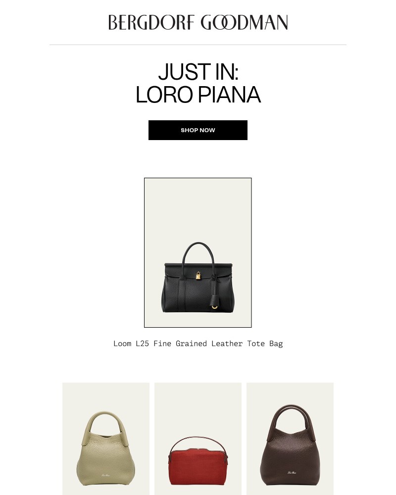 Screenshot of email with subject /media/emails/just-in-loro-piana-ca36fb-cropped-c6e63368.jpg