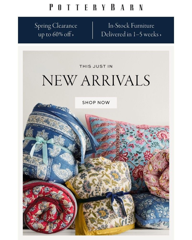Screenshot of email with subject /media/emails/just-in-new-arrivals-fc7b70-cropped-80aea0ec.jpg