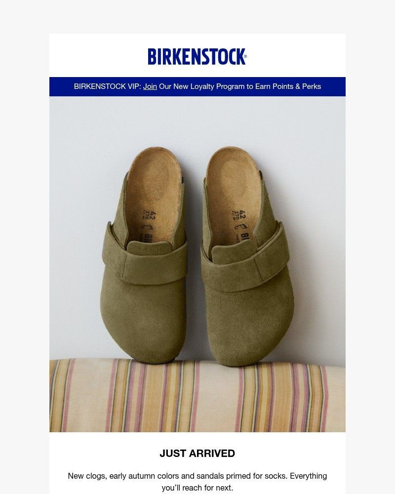 Screenshot of email sent to a Birkenstock Newsletter subscriber