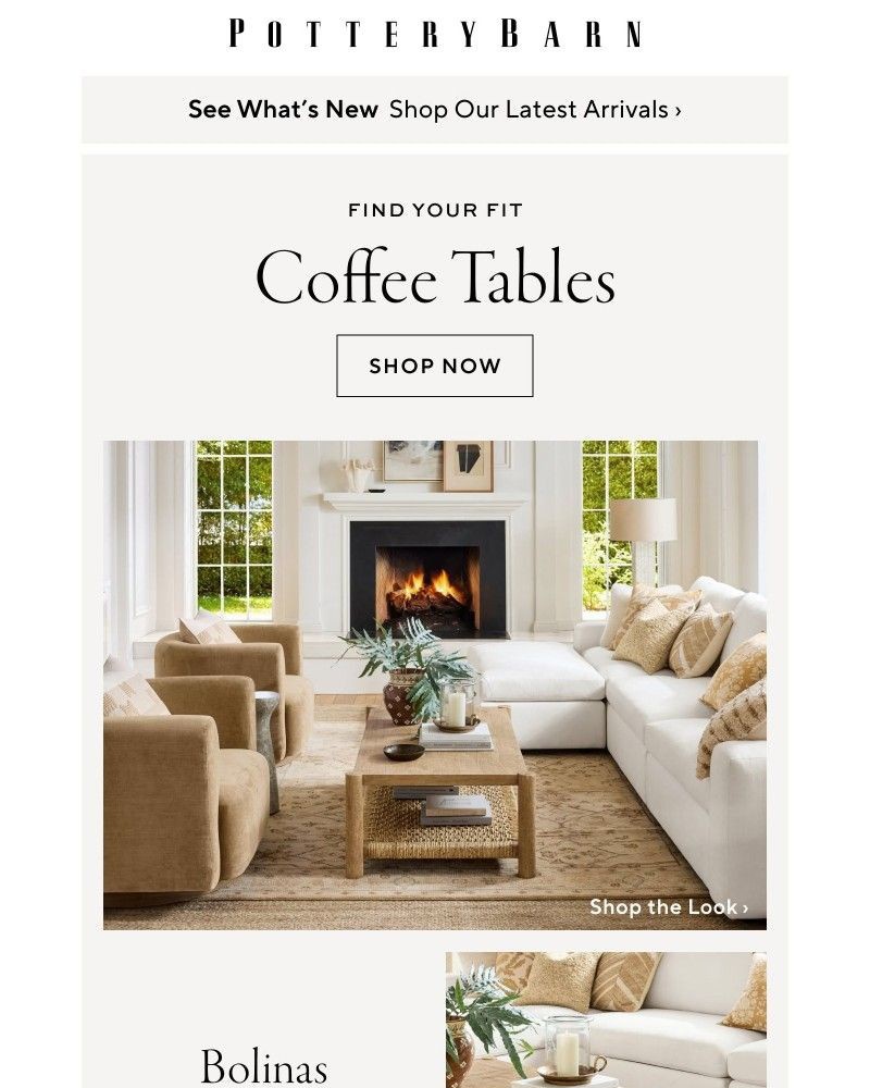 Screenshot of email with subject /media/emails/just-in-new-coffee-tables-79d9f5-cropped-ed0904b2.jpg
