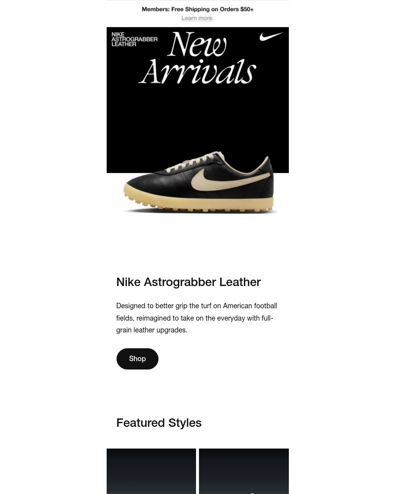 Screenshot of email sent to a Nike Registered user