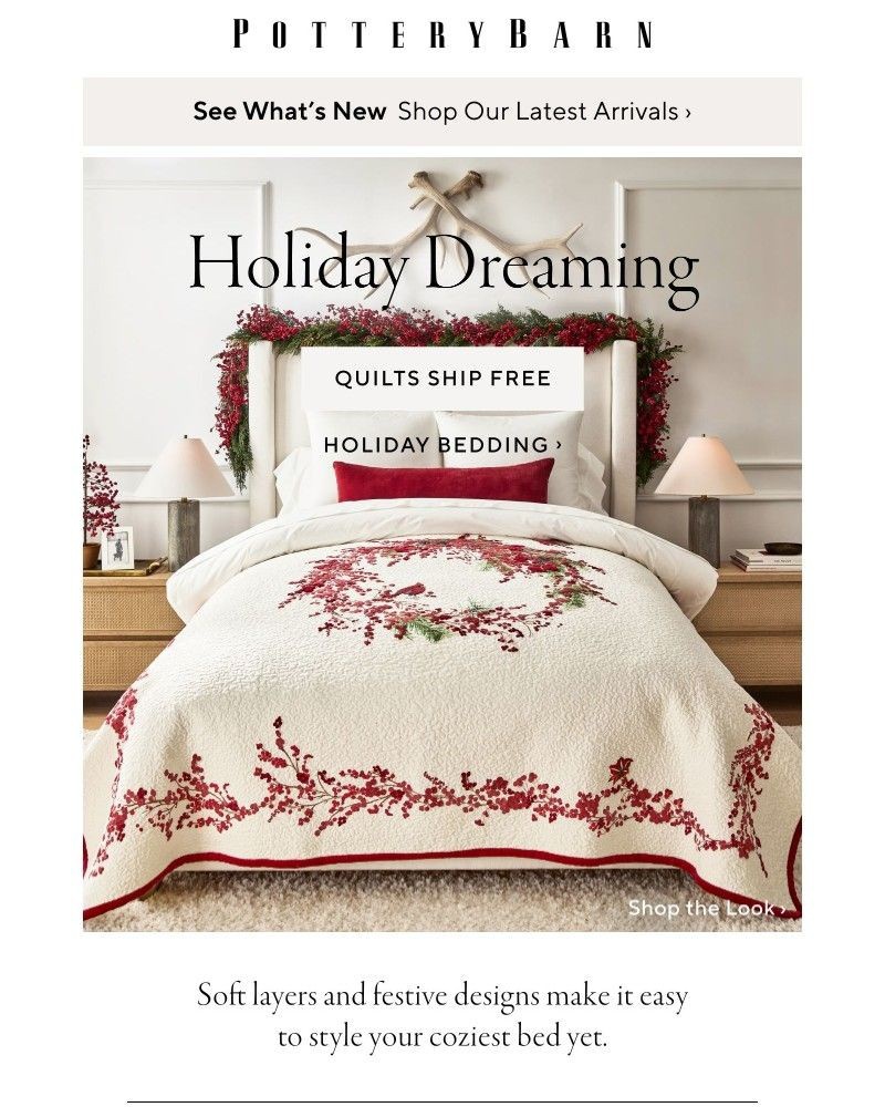 Screenshot of email with subject /media/emails/just-in-new-holiday-bedding-d65e07-cropped-cffa48aa.jpg