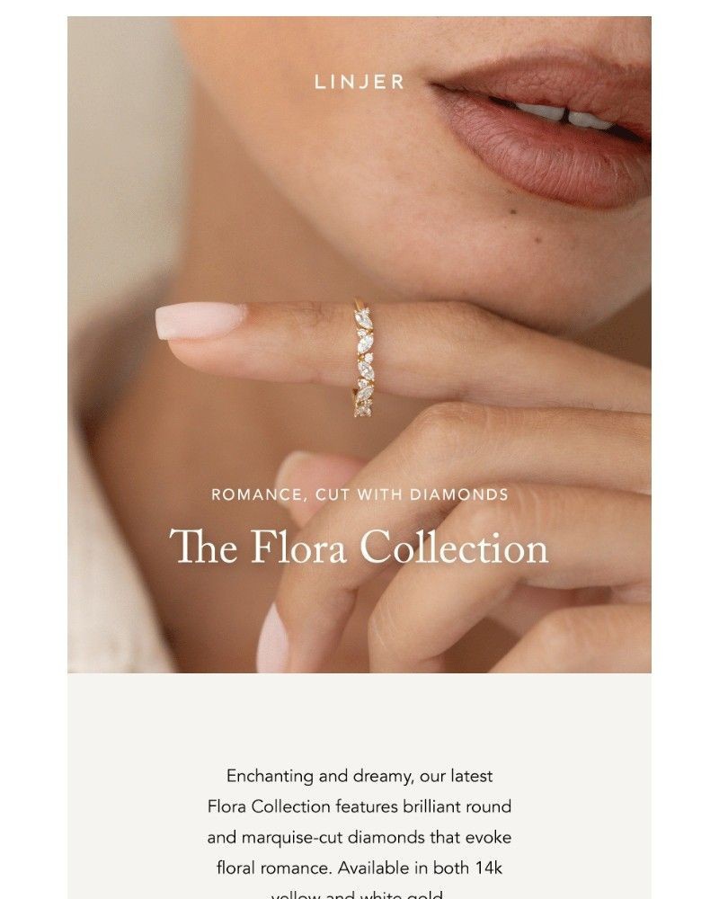 Screenshot of email sent to a Linjer Newsletter subscriber