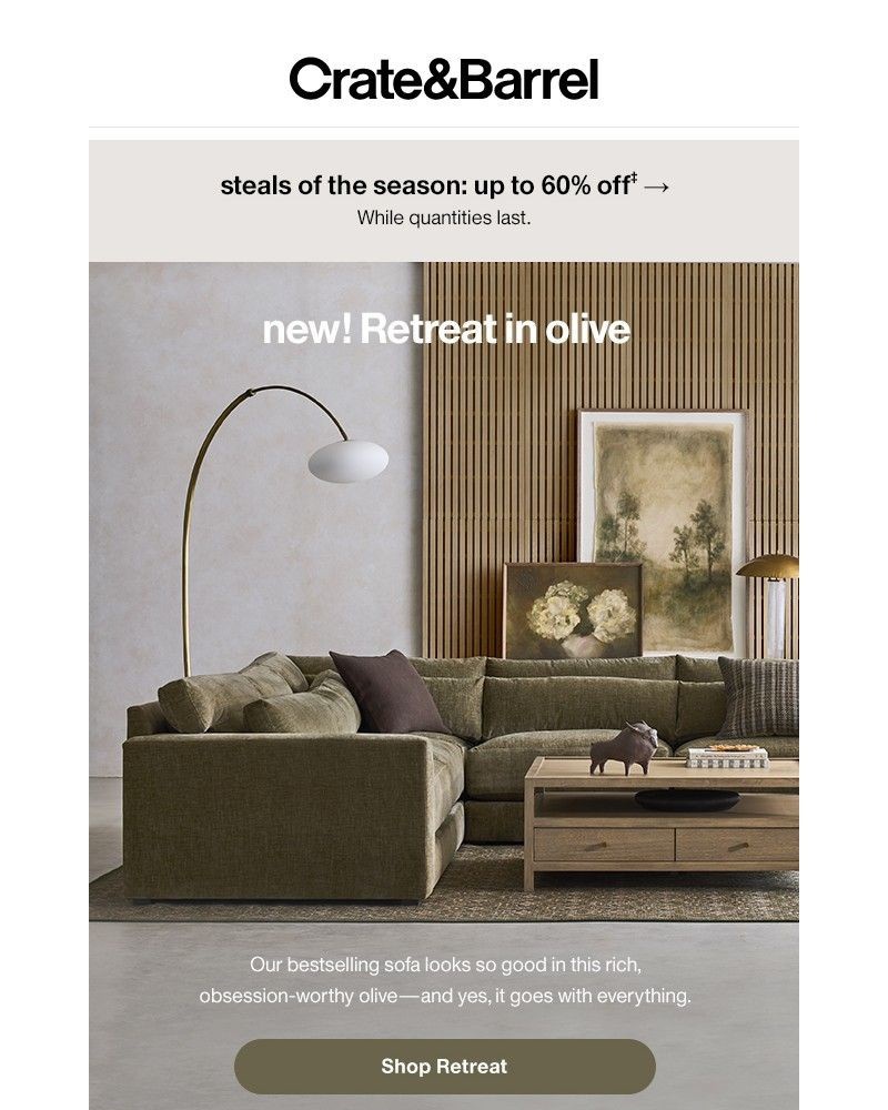 Screenshot of email with subject /media/emails/just-in-the-seasons-hottest-neutral-on-our-retreat-sofa-ec58f3-cropped-58308ce5.jpg