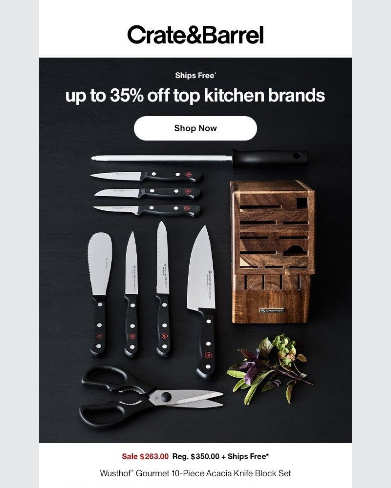 Screenshot of email with subject /media/emails/just-in-top-deals-on-wusthof-kitchenaid-le-creuset-more-d7f31f-cropped-bb4f885e.jpg