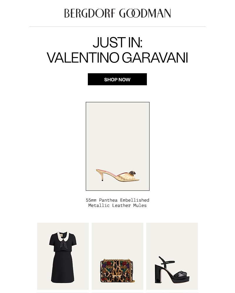 Screenshot of email with subject /media/emails/just-in-valentino-garavani-c623c9-cropped-82a8cb36.jpg