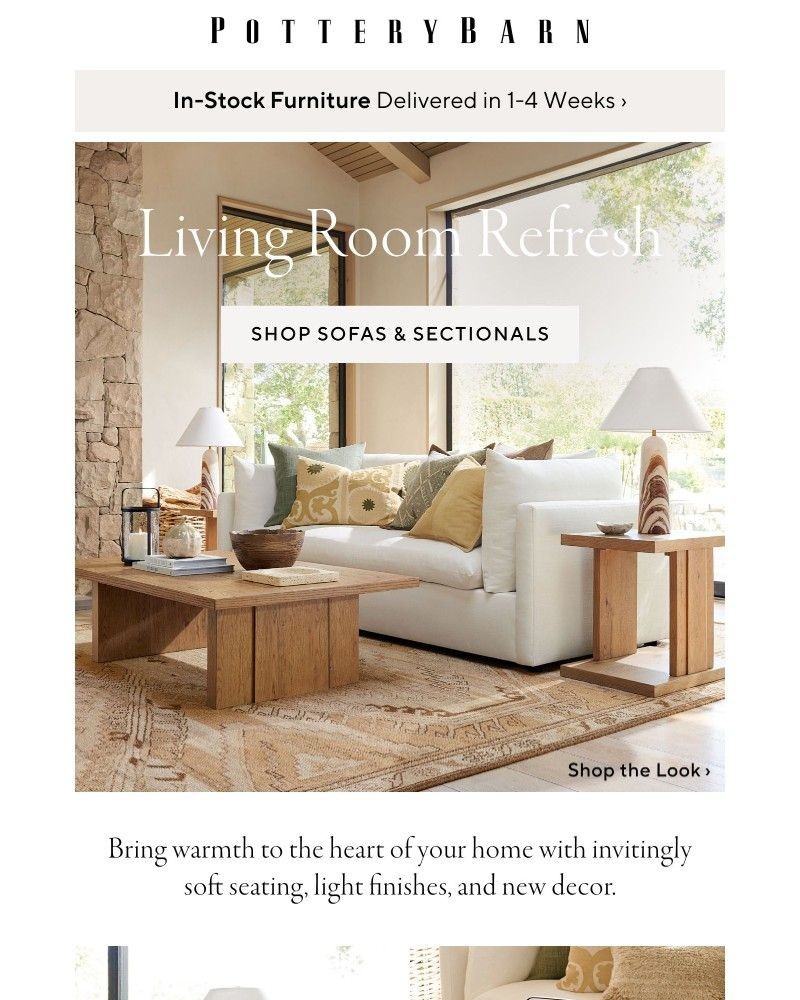 Screenshot of email with subject /media/emails/just-in-warm-accents-for-your-living-room-689d51-cropped-937a2e85.jpg