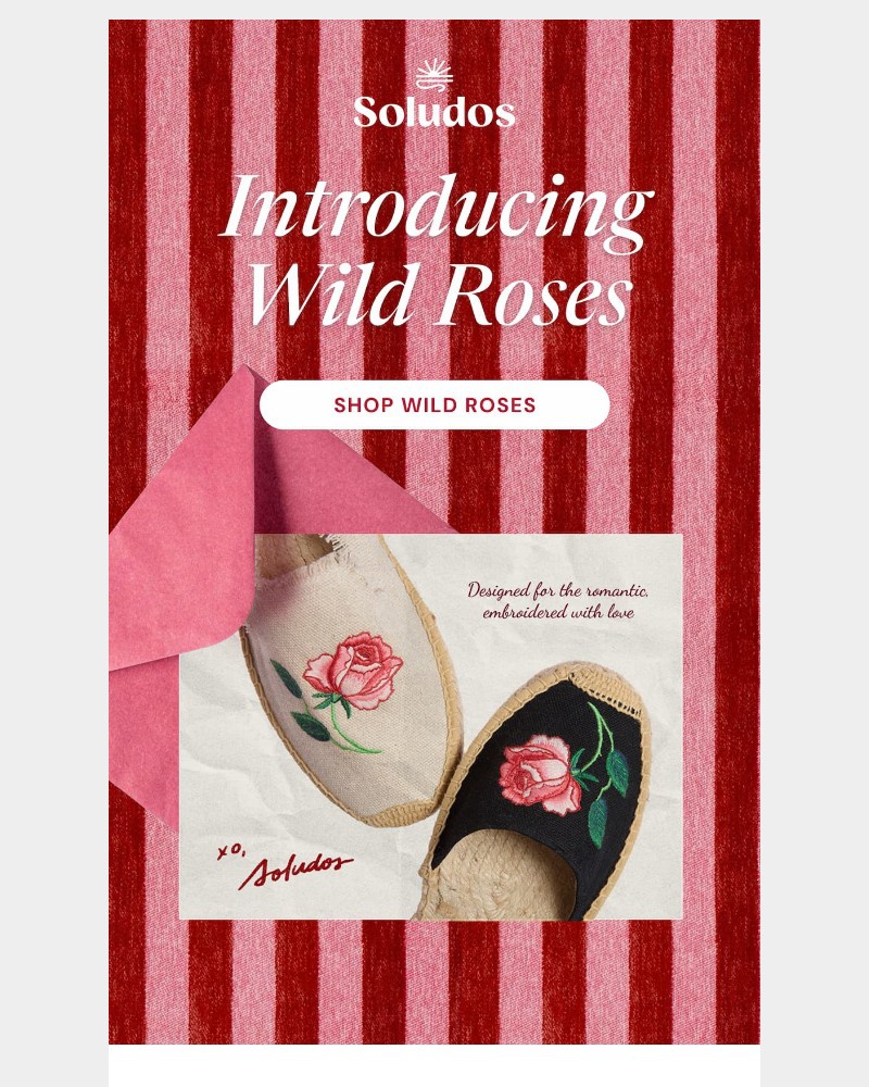 Screenshot of email with subject /media/emails/just-in-wild-roses-9a4baf-cropped-89643786.jpg