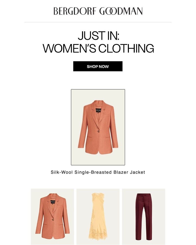 Screenshot of email with subject /media/emails/just-in-womens-clothing-738232-cropped-4c395c15.jpg