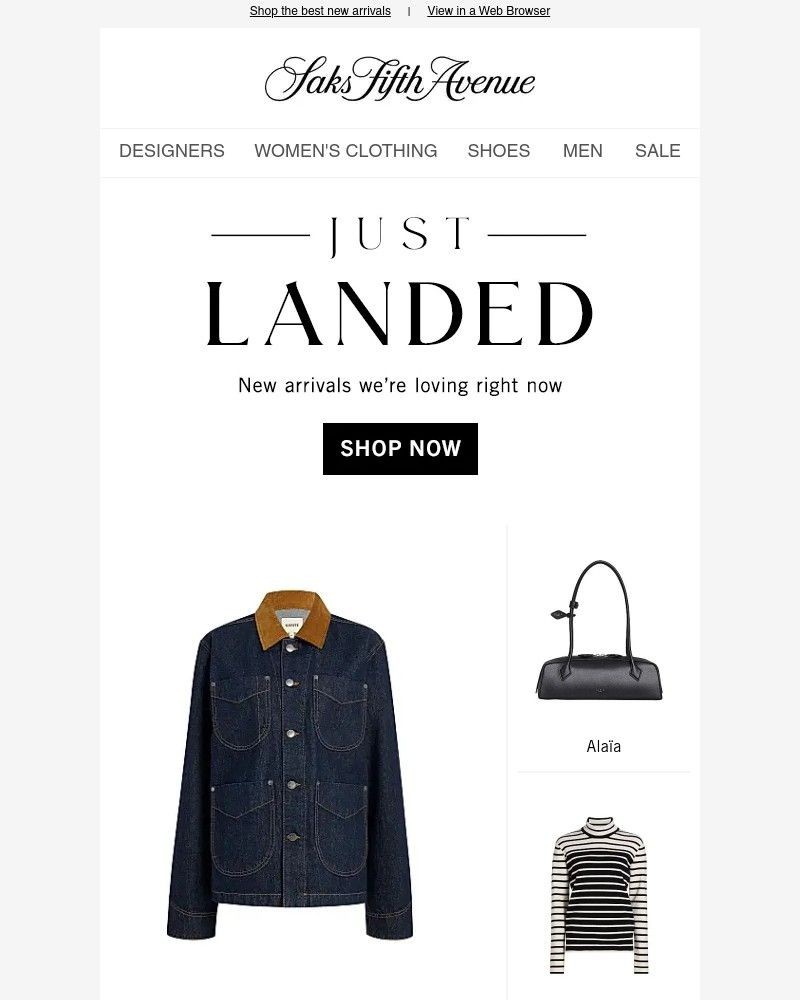 Screenshot of email with subject /media/emails/just-landed-2c732c-cropped-de7f1b65.jpg