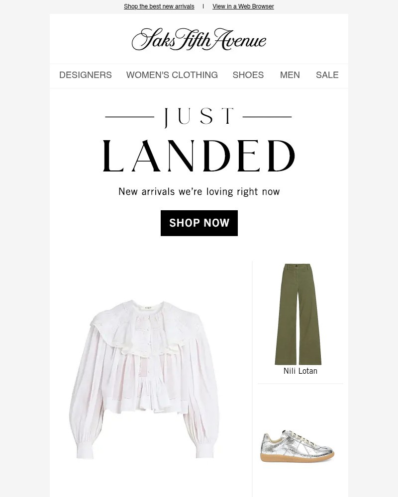 Screenshot of email with subject /media/emails/just-landed-6328ae-cropped-1c7f9b47.jpg