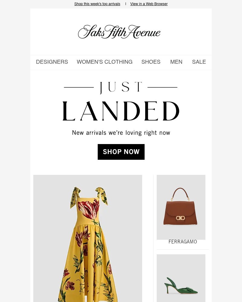 Screenshot of email with subject /media/emails/just-landed-79f678-cropped-215a6a5e.jpg