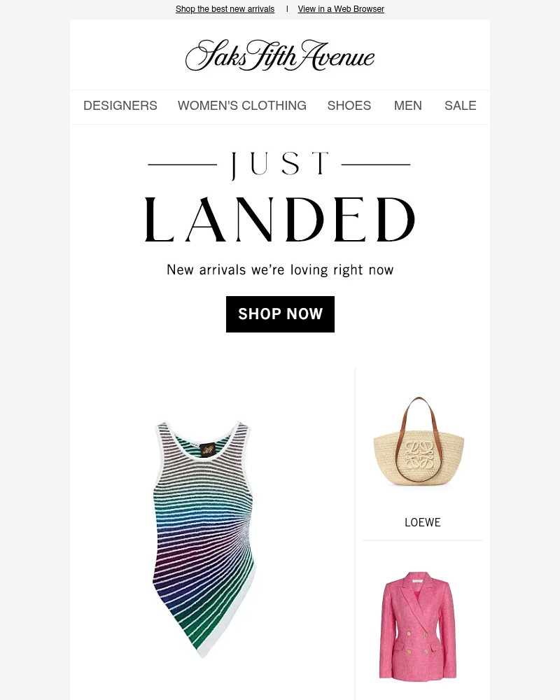 Screenshot of email with subject /media/emails/just-landed-f6c361-cropped-b2e31149.jpg