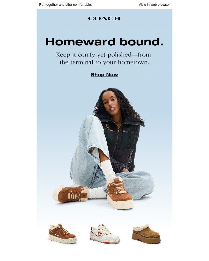 Screenshot of email with subject /media/emails/just-landed-homeward-bound-styles-37d61e-cropped-fbfb1326.jpg