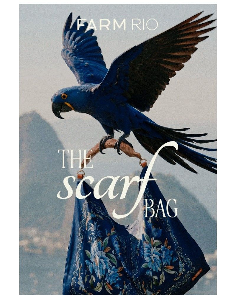 Screenshot of email with subject /media/emails/just-landed-the-scarf-bag-8720ff-cropped-3c550334.jpg