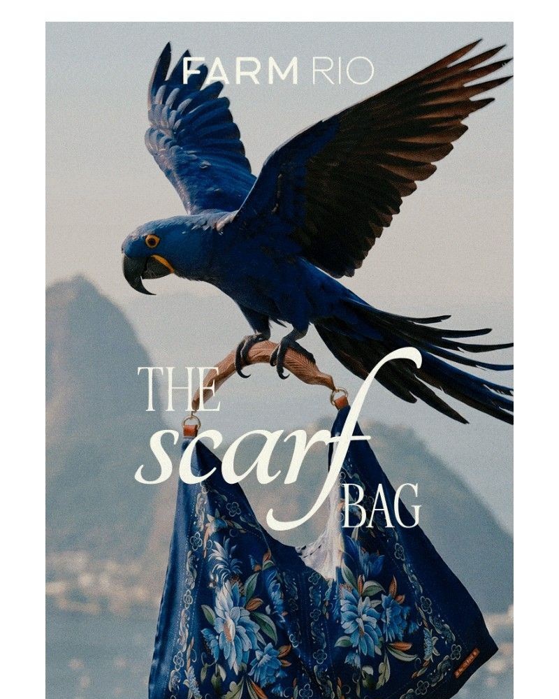Screenshot of email with subject /media/emails/just-landed-the-scarf-bag-b6a5d2-cropped-3a5754e1.jpg