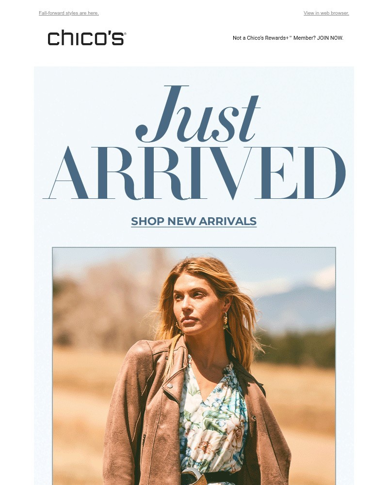 Screenshot of email with subject /media/emails/just-launched-everything-you-want-to-wear-3fa203-cropped-22975284.jpg