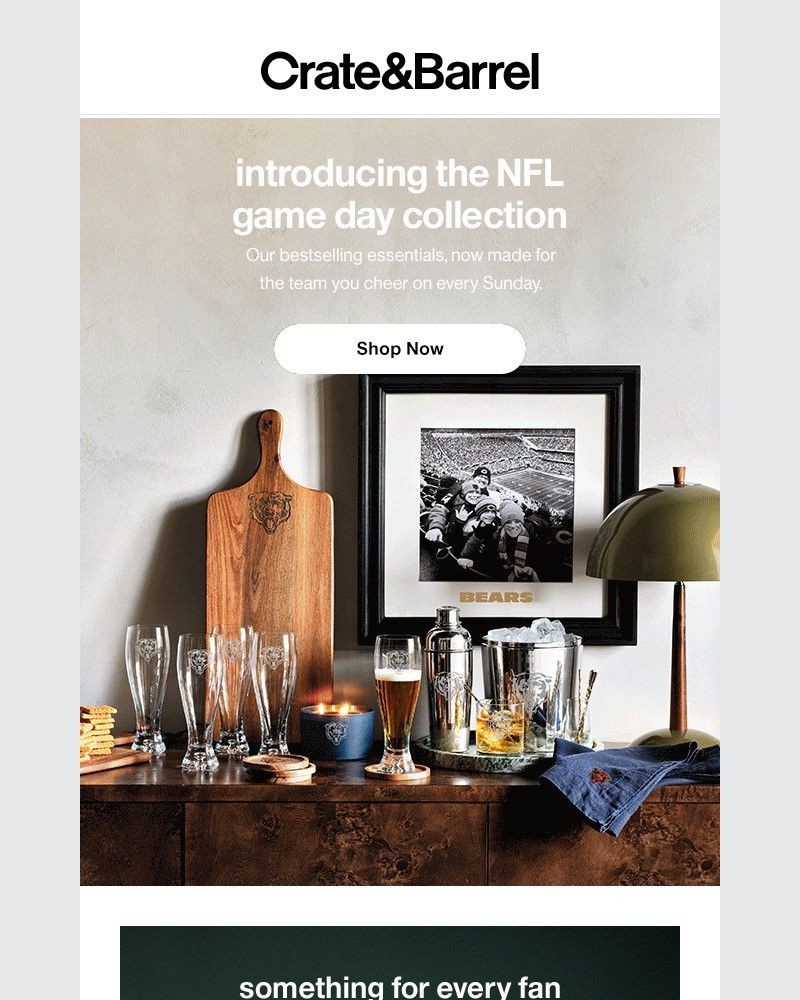 Screenshot of email with subject /media/emails/just-launched-our-nfl-collection-f4f55e-cropped-e133e637.jpg