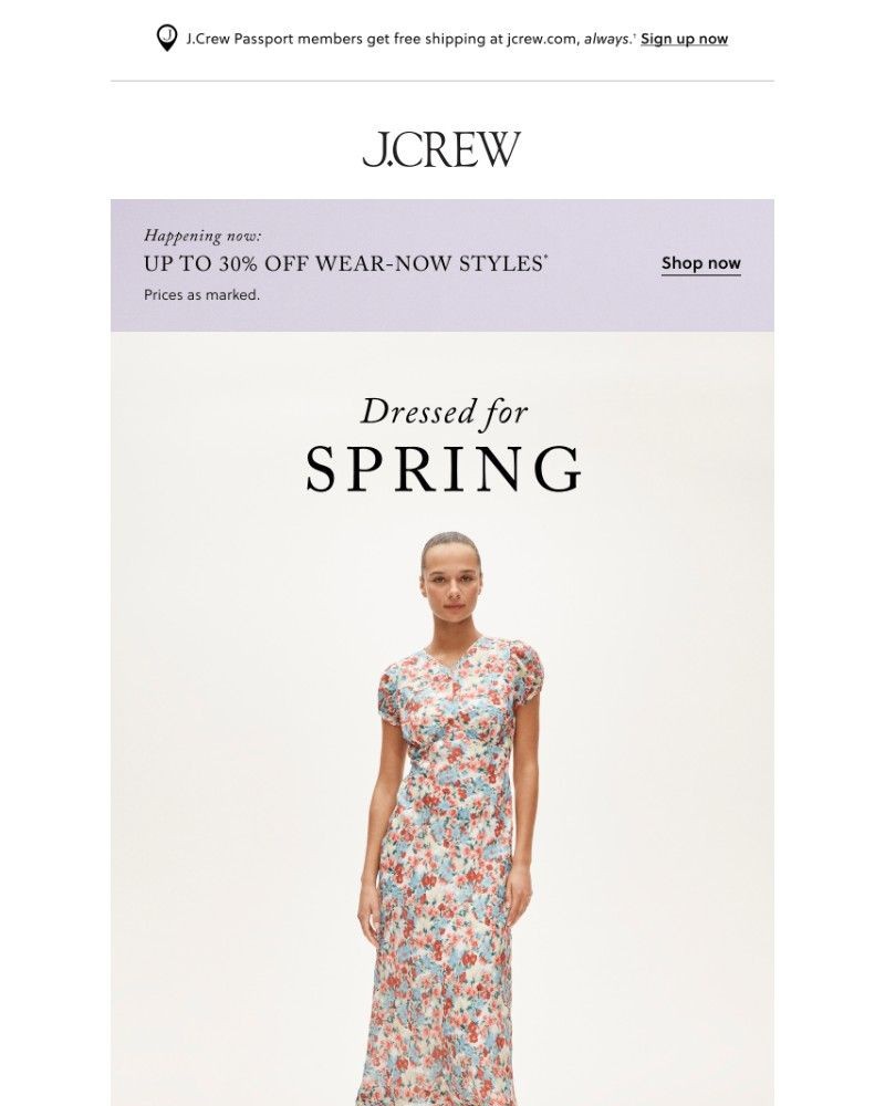 Screenshot of email with subject /media/emails/just-launched-the-spring-dresses-of-your-dreams-35b733-cropped-e9937151.jpg