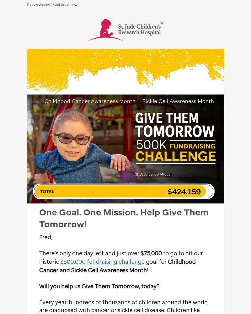 Screenshot of email with subject /media/emails/just-one-day-left-help-us-hit-our-500k-goal-b2d8c7-cropped-c7346543.jpg