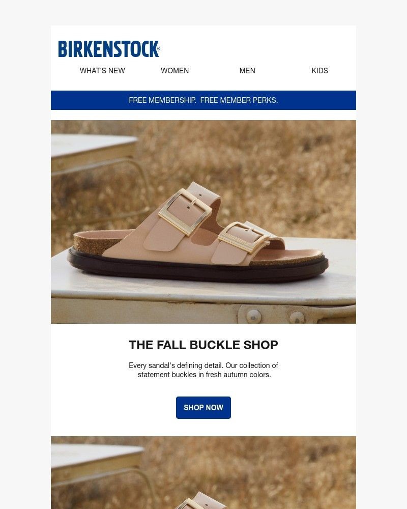Screenshot of email with subject /media/emails/just-opened-the-fall-buckle-shop-935a03-cropped-d2a92aa1.jpg