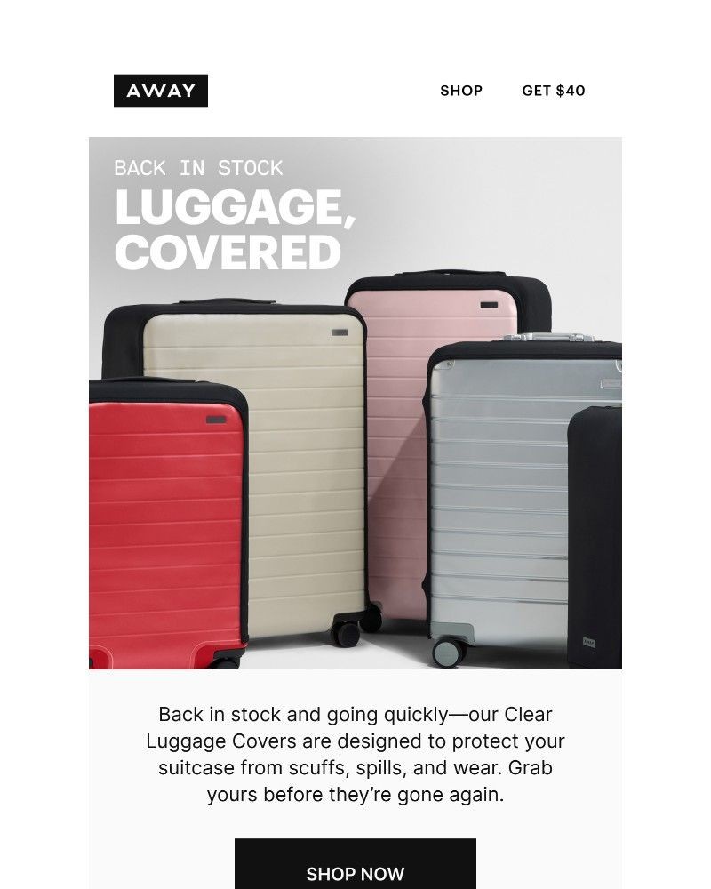 Screenshot of email with subject /media/emails/just-restocked-luggage-covers-5e7be2-cropped-cd2e66de.jpg