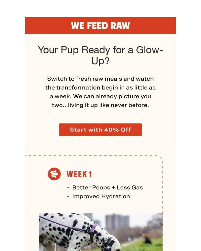 Screenshot of email with subject /media/emails/just-this-switch-is-enough-cfbf34-cropped-b6656589.jpg