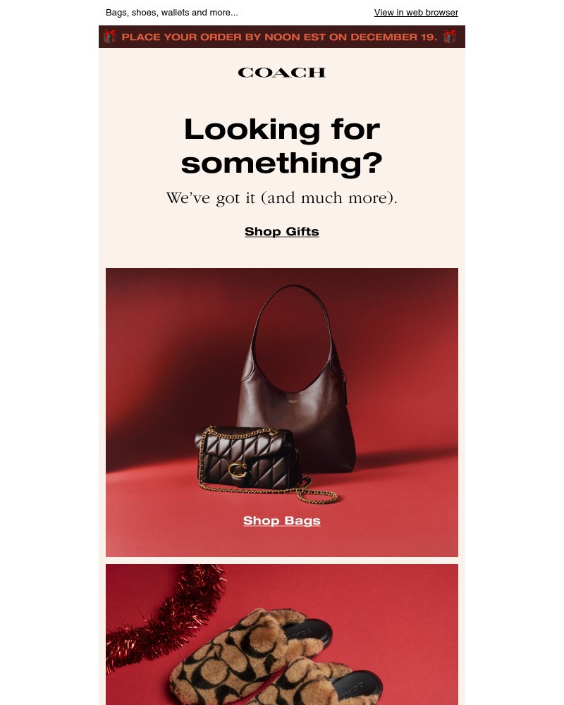 Screenshot of email with subject /media/emails/just-what-you-were-looking-for-ee1680-cropped-b7e342c8.jpg