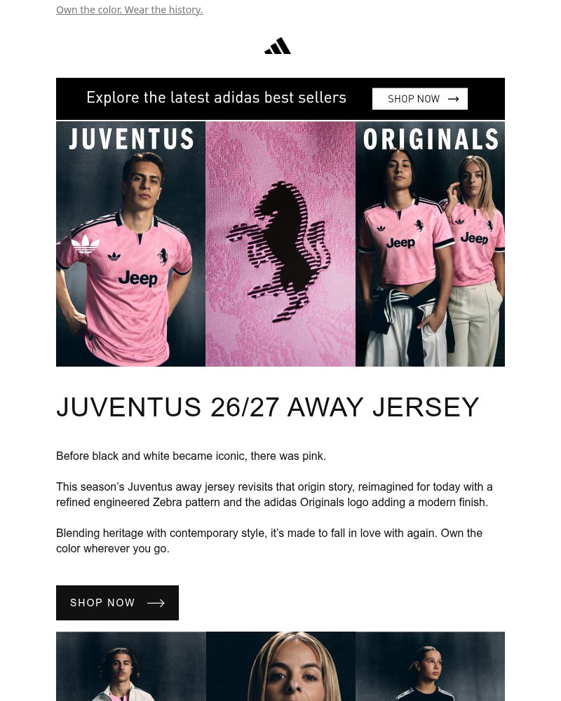 Screenshot of email sent to a Adidas Newsletter subscriber