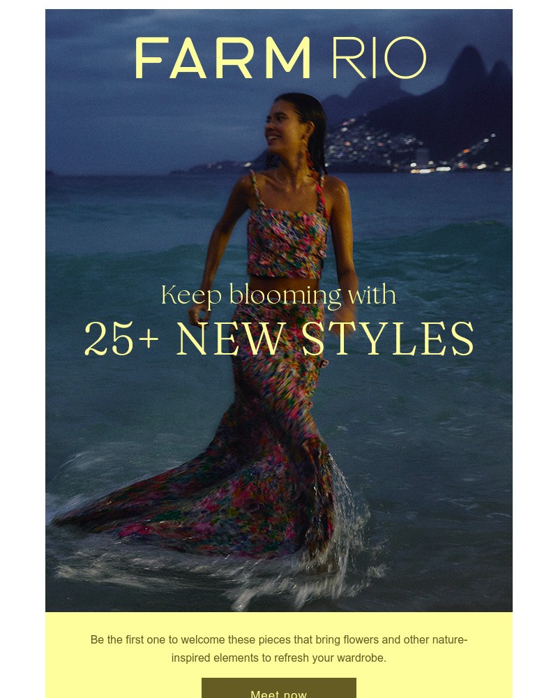 Screenshot of email sent to a Farm Rio Newsletter subscriber